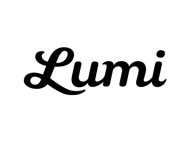Image result for lumi logo