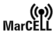 MarCELL Q&A