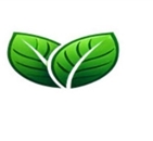 greenwebpage