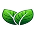 greenwebpage