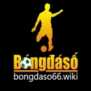bongdaso66wiki