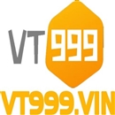 vt999vin