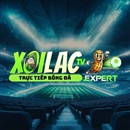 xoilactvexpert
