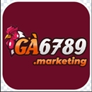 ga6789marketing