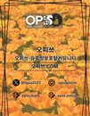 강남오피 오피쓰주소.COM 강남OP