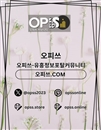 제주오피 오피쓰주소.COM 제주OP