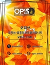 평촌오피 오피사이트.NET 평촌OP