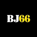 bj66ink