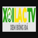 Fondazionesabattini.it lua dao