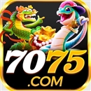 7075