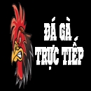 Đá Gà Trực Tiếp