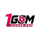 1gom66pro