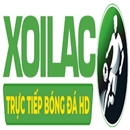 festivalforthefuture.co lua dao