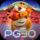 pg30 vip – plataforma de jogos premium com