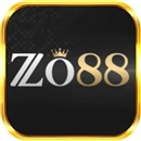 Zo88usorg