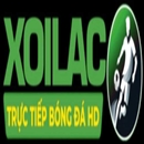 conseildesarts.org thao túng kết quả