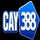 Cay388cam