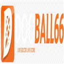dooball66