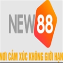 Nhà cái NEW88