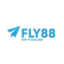 fly88com1