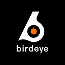 Birdeye