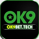 Ok9bet tech
