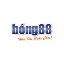 bong88lipaugmentation