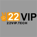 22viptech