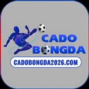 Web cá độ bóng đá