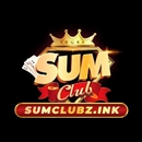 sumclubzink