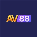 av88aorg