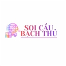 Soi Cầu Bạch Thủ