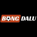 bongdaluschool