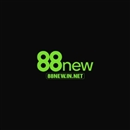 88newinnet
