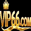 VIP66