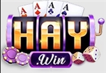 haywininnet