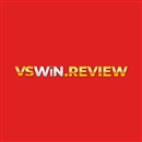 Vswin review