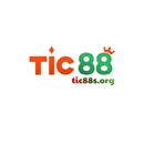 tic88sorg