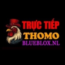 dagatructiepxyzblueblox