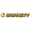 gavangtvllc
