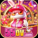 55dv