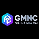 gmncsurf