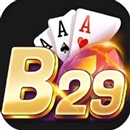 b29