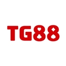 tg88mscom