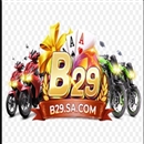b29sacom