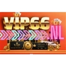 vip66nl