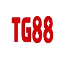 wwwtg88net