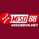 miso88vnnet
